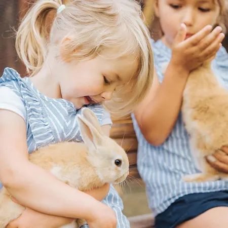 Aparthotel Wieshof 3*