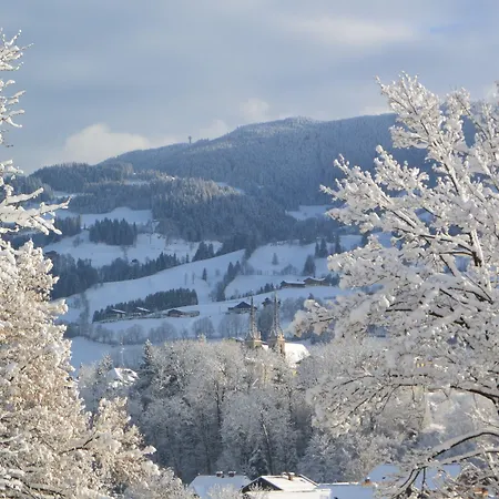 Wieshof Aparthotel 3*