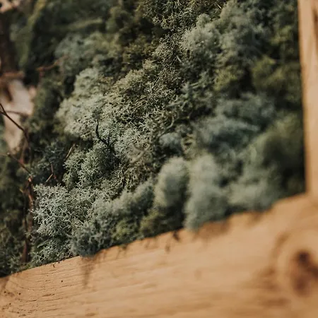 Wieshof Appart hôtel Sankt Johann im Pongau